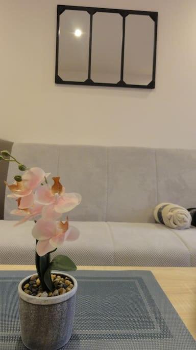 Le Belvedere Dernier Etage Avec Terrasse Wifi Fibre Apartment Tarbes Exterior photo